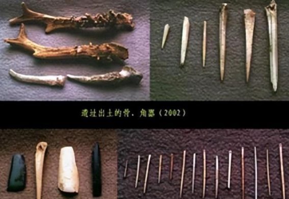 藏地谜湖：羊卓雍措湖的鱼类秘密