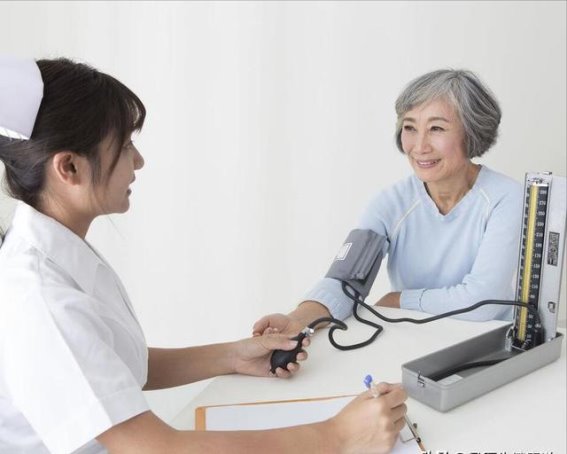 夏日健康守护者：四种蔬菜助力预防中风与高尿酸