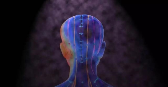 筋结的隐患：警惕身体信号，重视颈椎健康