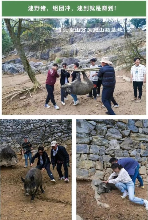 徒手逮猎与文化旅游的碰撞